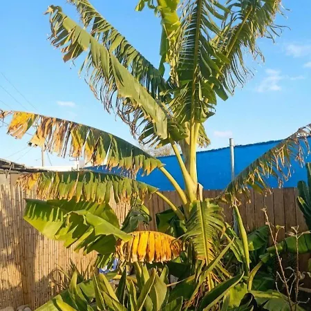 House Kipos * Malónasz