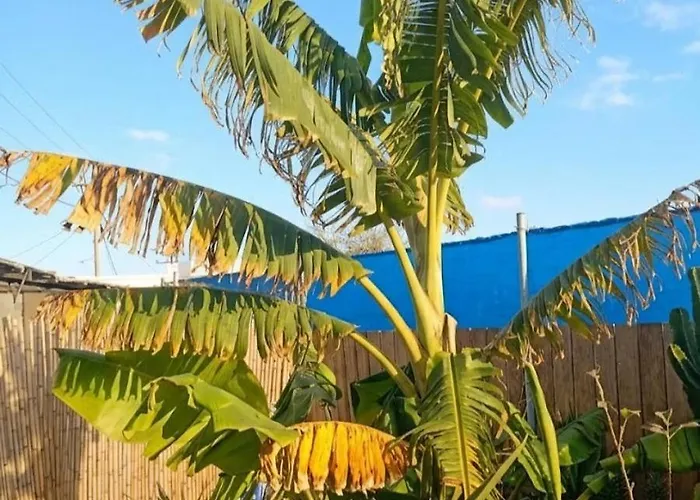 House Kipos * Malónasz