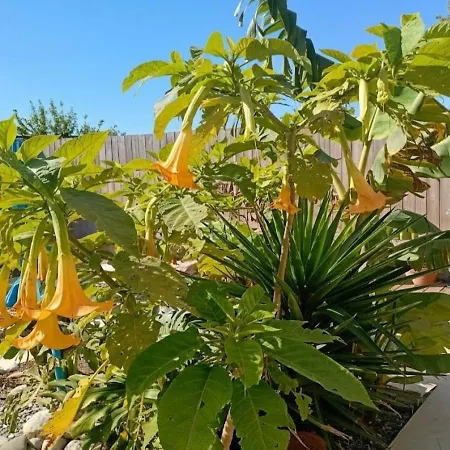 House Kipos * Malona Village