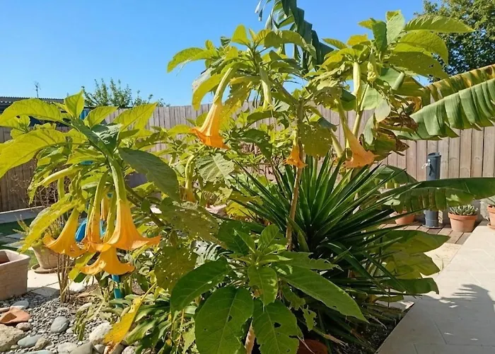 House Kipos * Malona Village